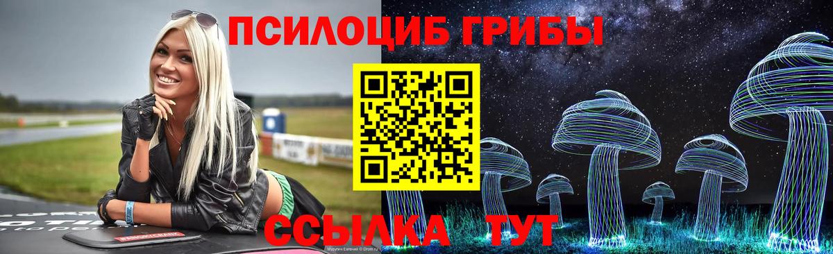 Псилоцибиновые грибы Psilocybine cubensis Гатчина