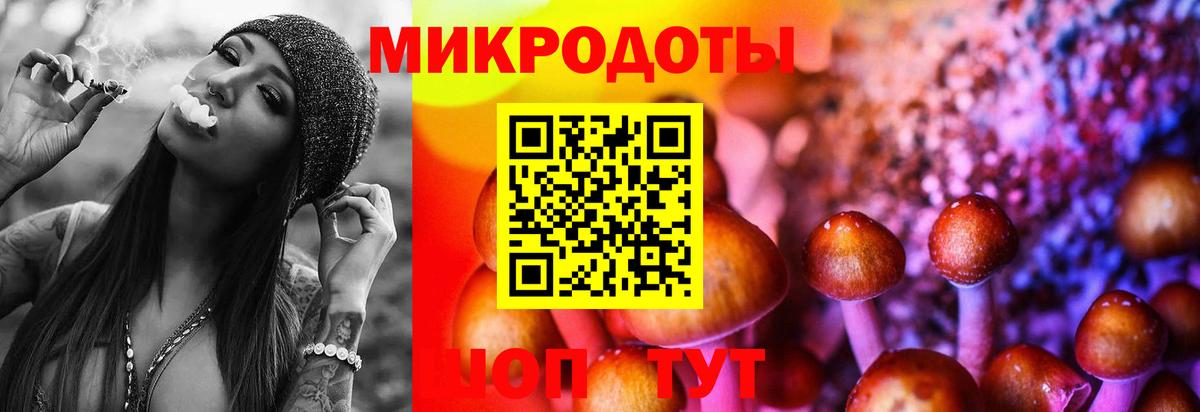 Гатчина  Галлюциногенные грибы Magic Shrooms  Вход с VPN 